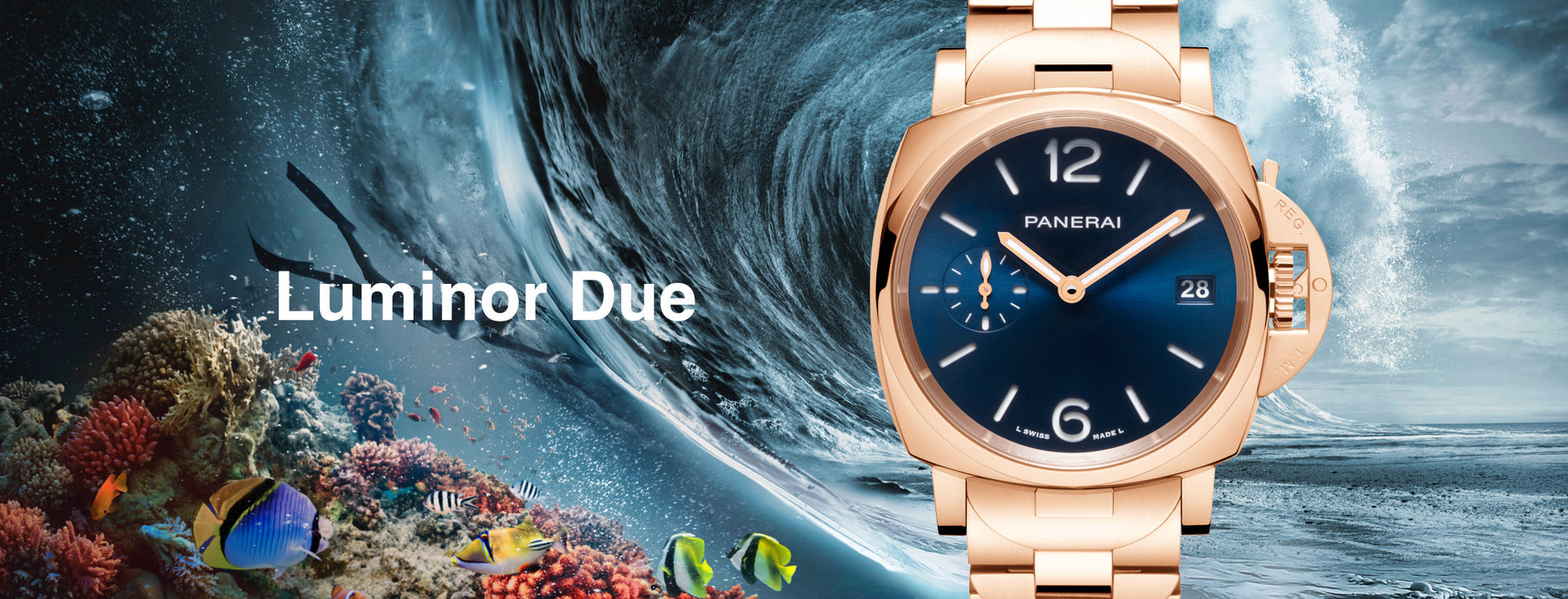 Panerai Luminor Due Collection collection image