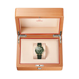 Omega Seamaster Diver 300M Omega