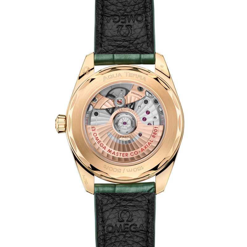 Omega Seamaster Aqua Terra Shades - 38 mm