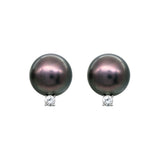 Black South Sea Pearl Diamond Earrings