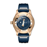 IWC Schaffhausen Pilot's Watch Mark XX Le Petit Prince