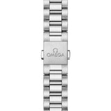 Omega Seamaster Aqua Terra 150m 41mm