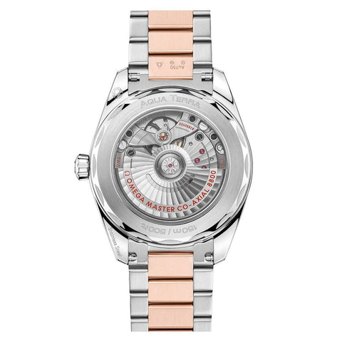 Omega Seamaster Aqua Terra Shades