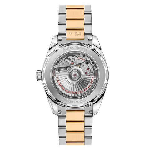 Omega Seamaster Aqua Terra Shades