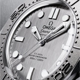 Omega Seamaster Diver 300M 42 mm