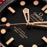 Omega Seamaster Diver 300M 42 mm