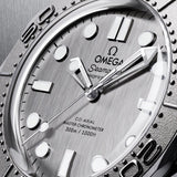 Omega Seamaster Diver 300M 42 mm
