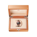 Omega Seamaster Diver 300M 42 mm