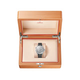 Omega Seamaster Diver 300M 42 mm