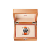 Omega Seamaster Diver 300M