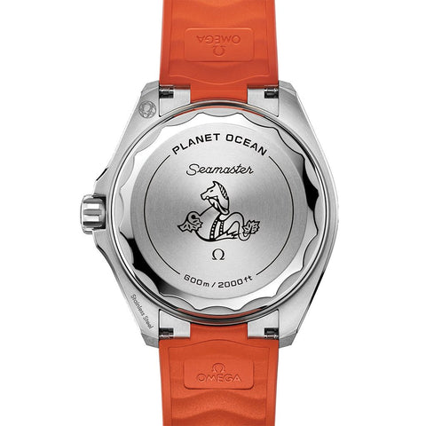 Omega Seamaster Planet Ocean 600M