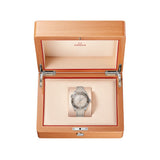 Omega Seamaster Planet Ocean 600M