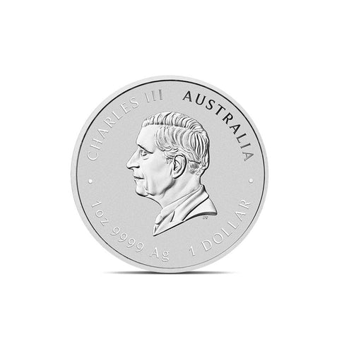 Year of the Snake Silver Coin 2025