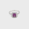 Pink Sapphire Diamond Ring CH Collection