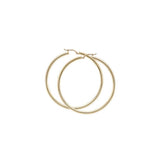 Gold Hoop Earrings