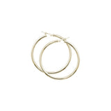 Gold Hoop Earrings
