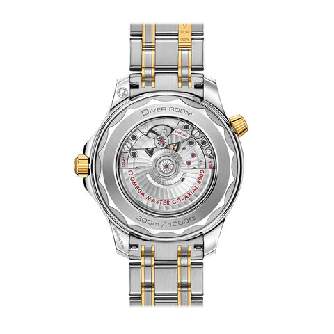 Omega Seamaster Diver 300M Co-Axial Master Chronometer