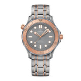 Omega Seamaster Diver 300M Co-Axial Master Chronometer