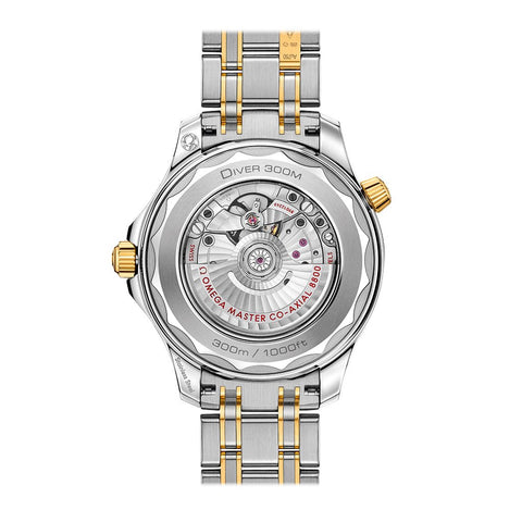 Omega Seamaster Diver 300M Co-Axial Master Chronometer